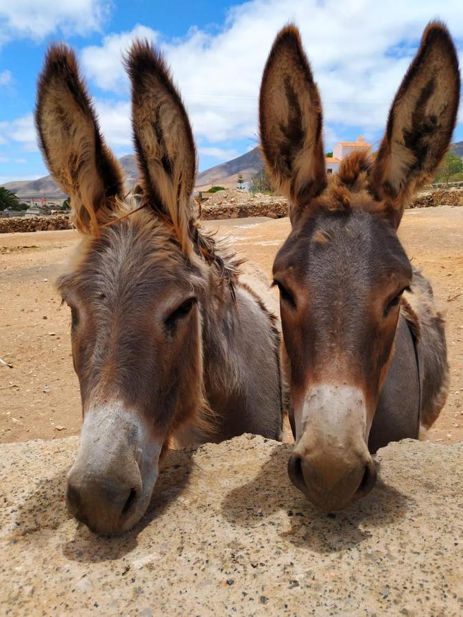 Готель Teepee Barranco Тіндая Екстер'єр фото